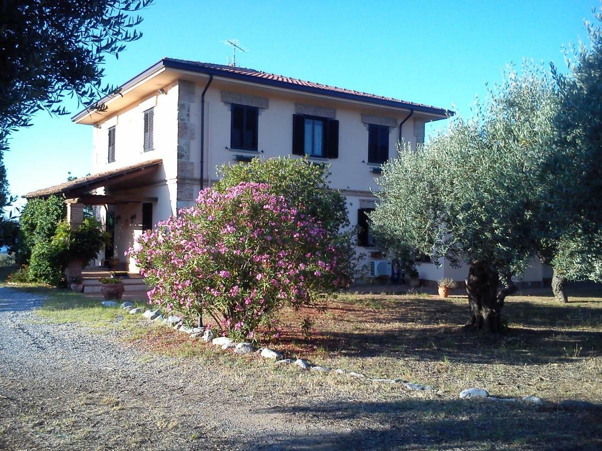 Pathirion B&B Rossano Esterno foto