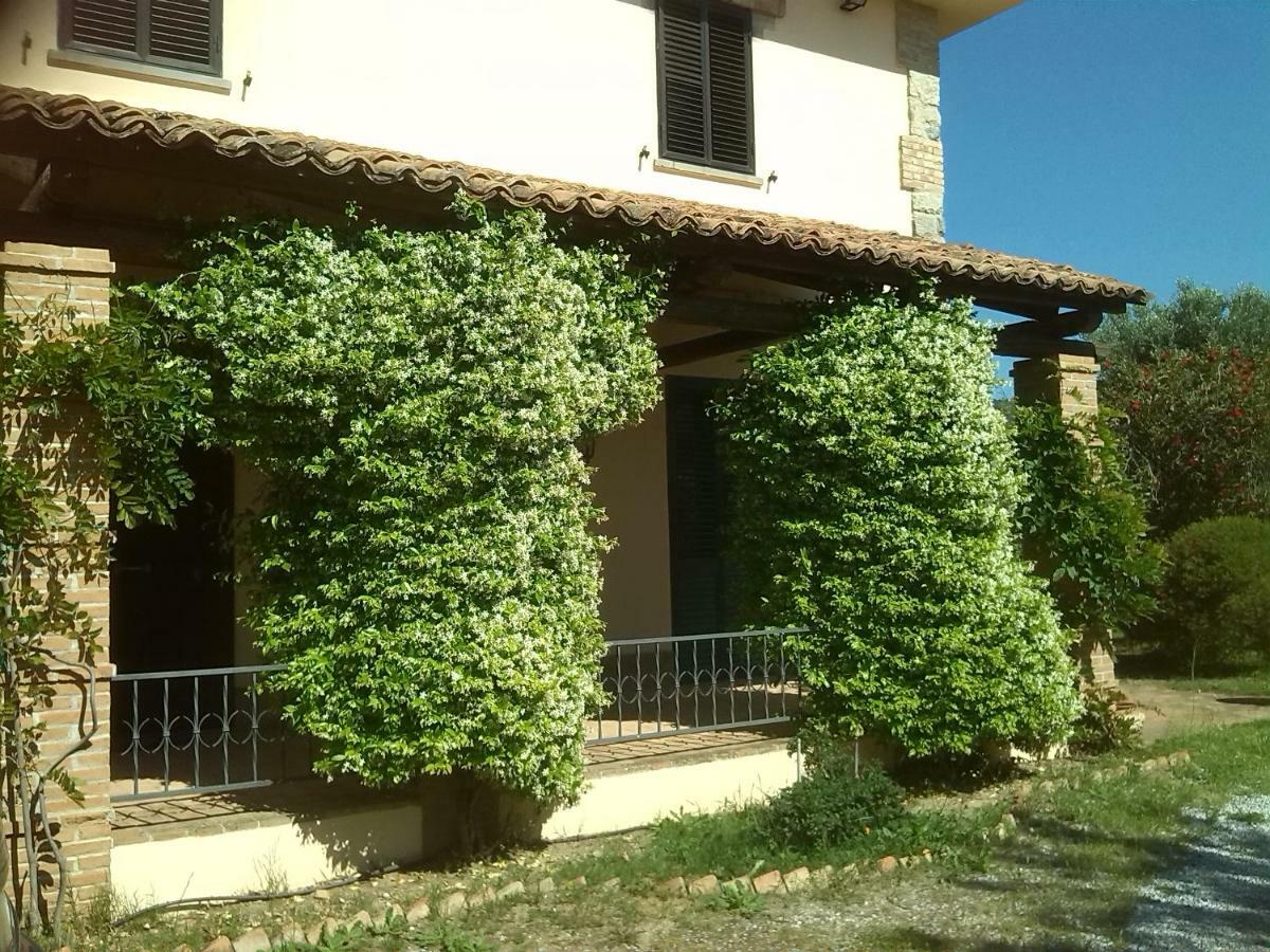 Pathirion B&B Rossano Esterno foto
